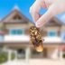 How to Identify and Eliminate a Cockroach Infestation