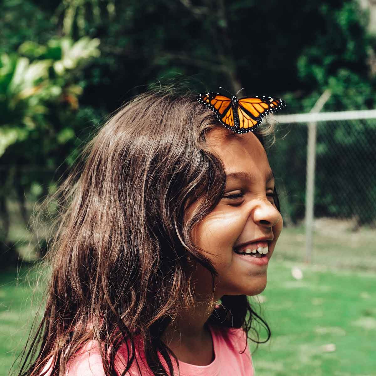 7 Ways to Attract Butterflies to Your Backyard