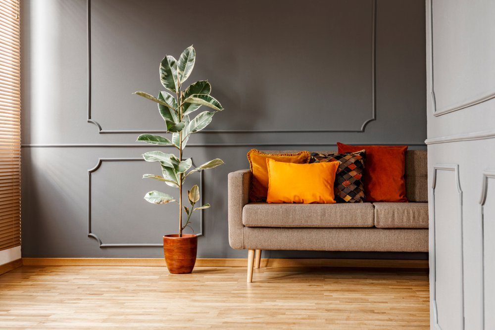 A potted plant stands beside a cozy sofa adorned with colorful pillows, set against a painted wall in a warmly lit, modern living space.