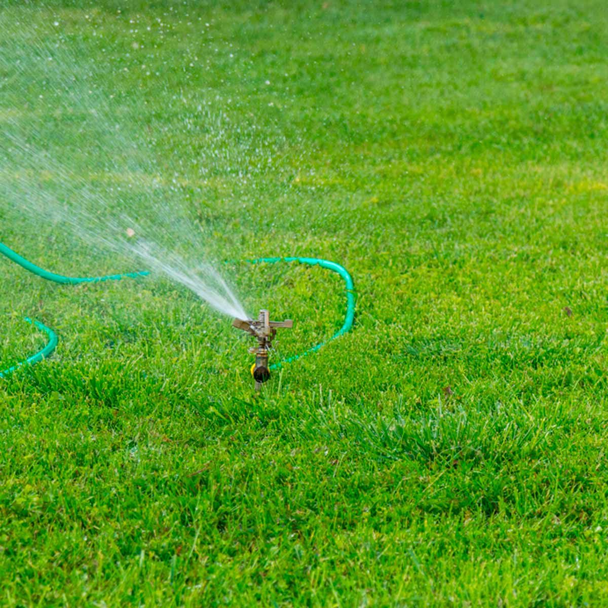 Watering