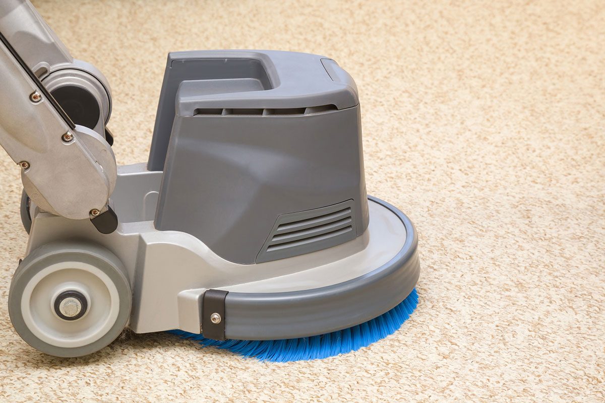 Are Rental Carpet Cleaners Any Good Compared to the Pros?