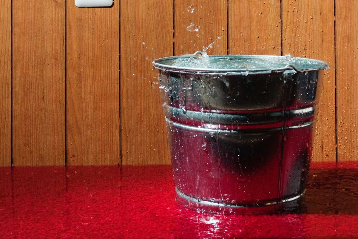 Step-by-Step Guide on How to Dry Wet Carpet Efficiently