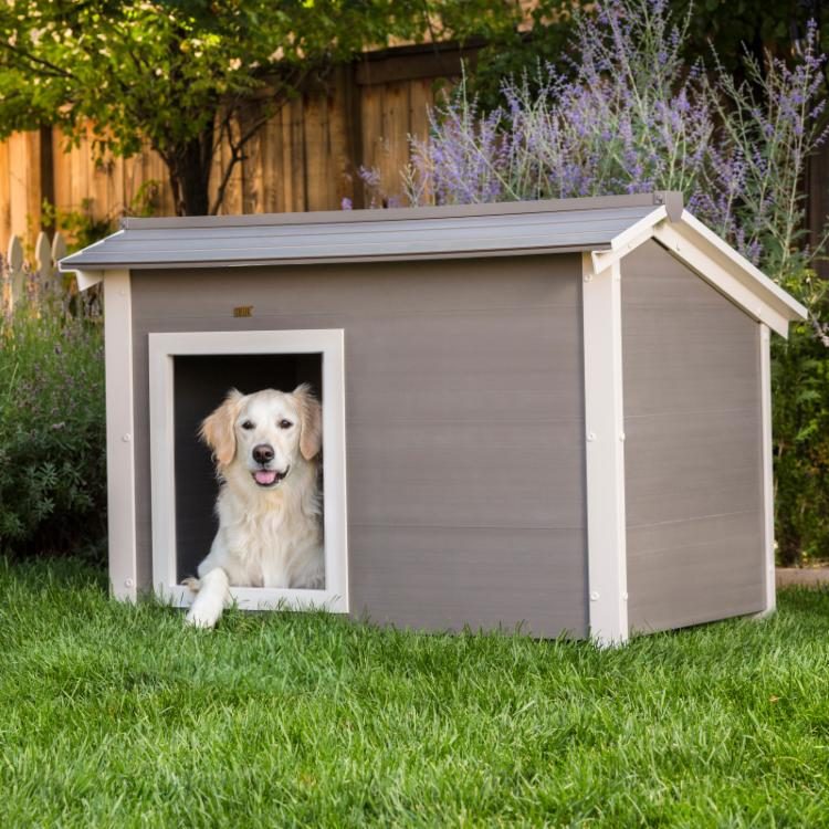 7 Best Heated Doghouses of 2025 – Honest Review!