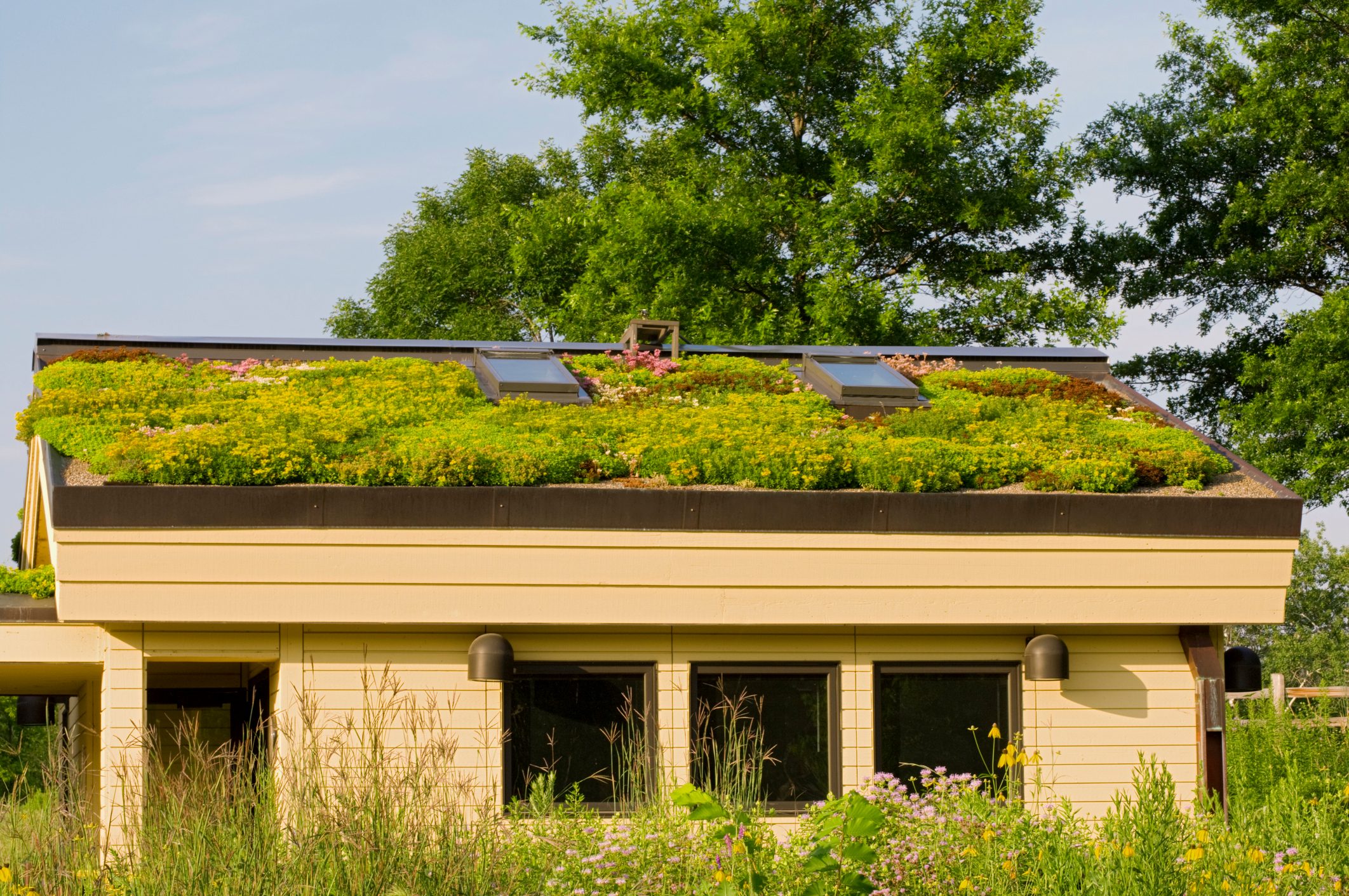 10 Types of the Best Roofing Materials