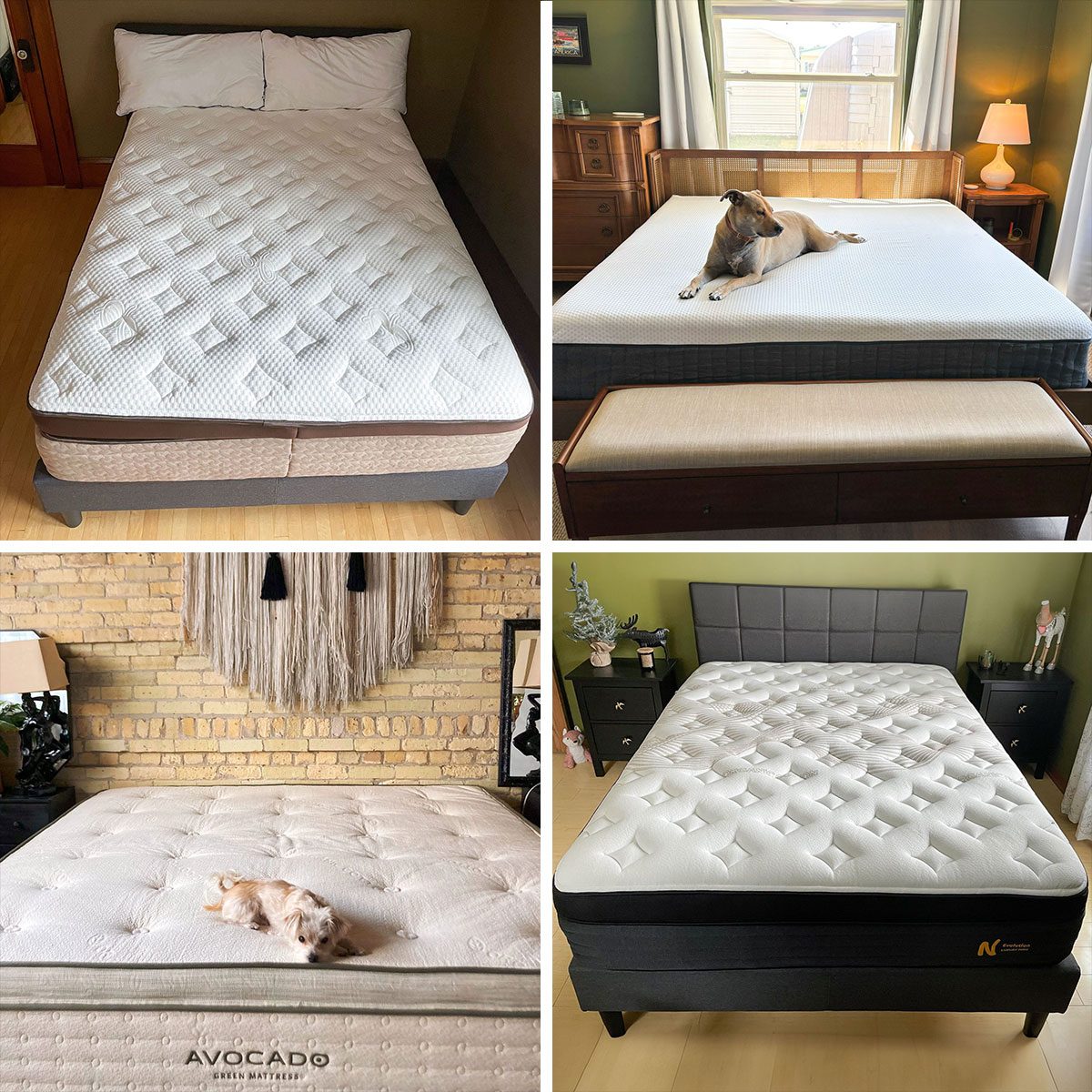 8 Best Box Mattresses Of 2025, Editor Tested And Reviewed