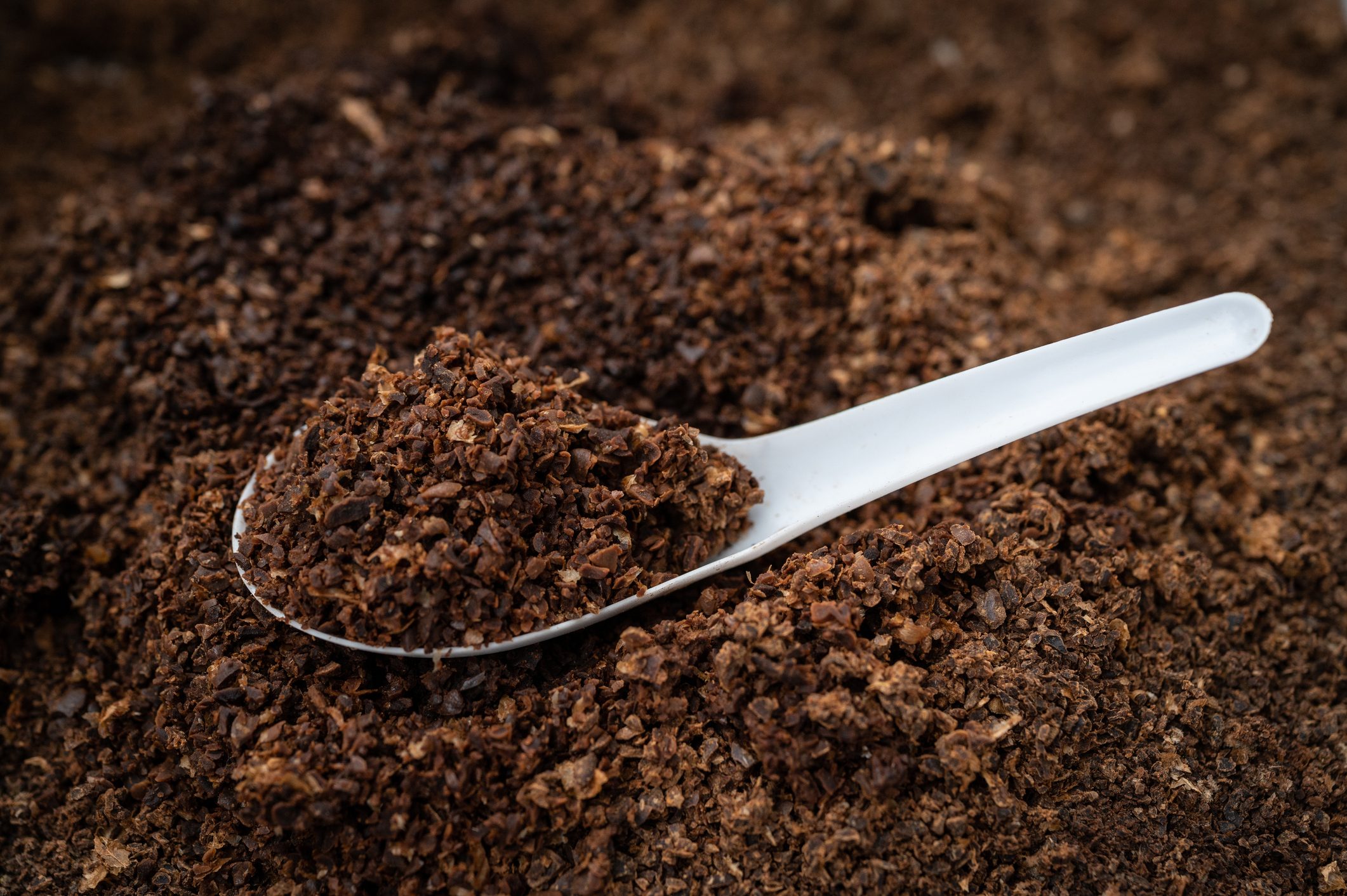 Coffee Grounds For Plants To Make Them Thrive